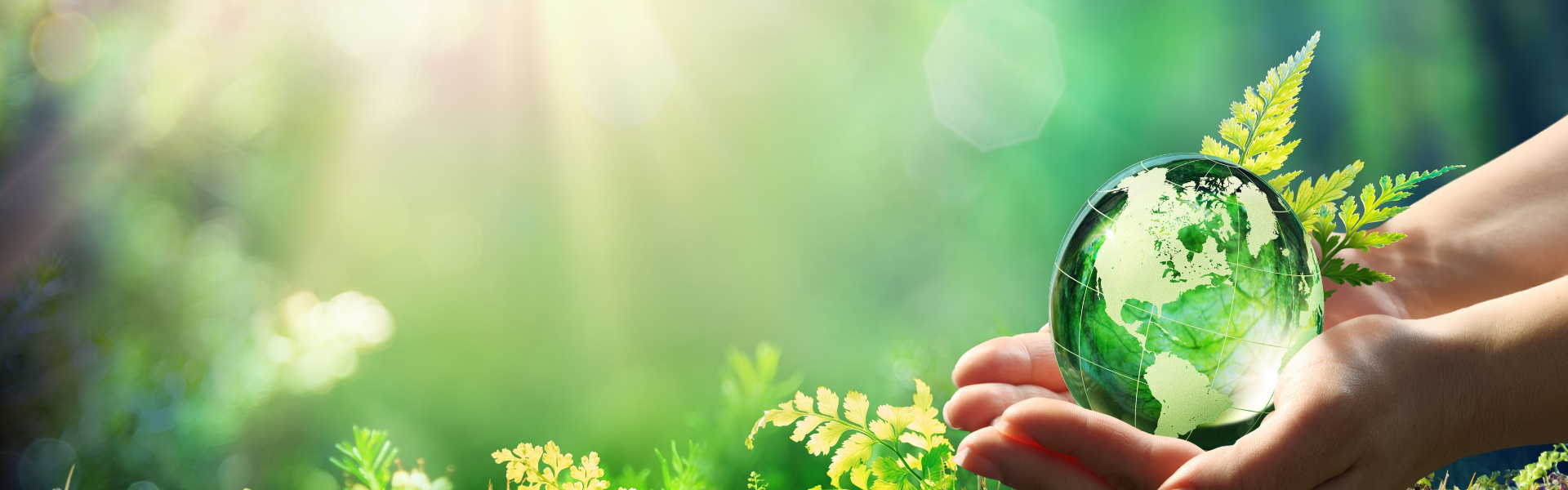 A hand holding a glass sphere in a background of greenery.