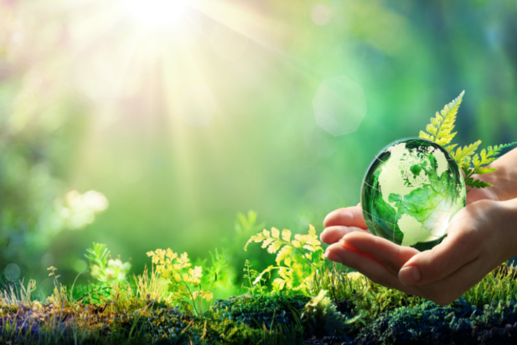 A hand holding a glass sphere in a background of greenery.